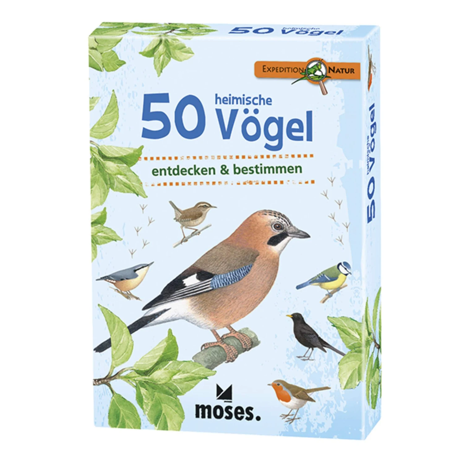 EXPEDITION NATUR 50 HEIMISCHE VÖGEL - Kinderbuch 1 EXPEDITION NATUR 50 HEIMISCHE VÖGEL - Kinderbuch